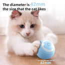 Cat Interactive Smart Ball